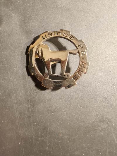 老王徽章第169期 - 法国法国第1非洲猎骑兵团证章