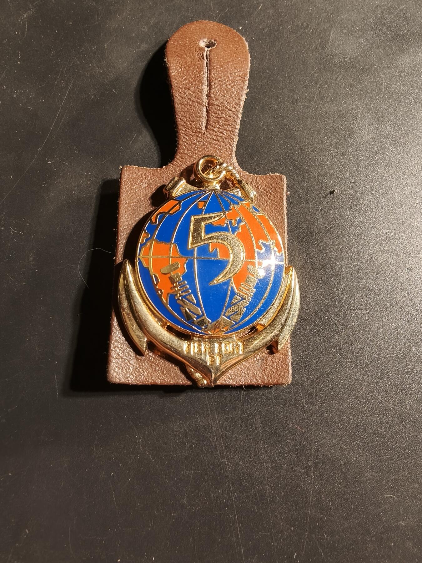 老王徽章第169期 法国海外联合兵种第5团证章