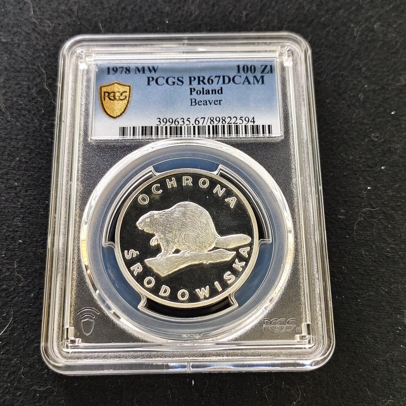 【全场包邮】纯粹捡漏拍487场（免费代拍第24场）