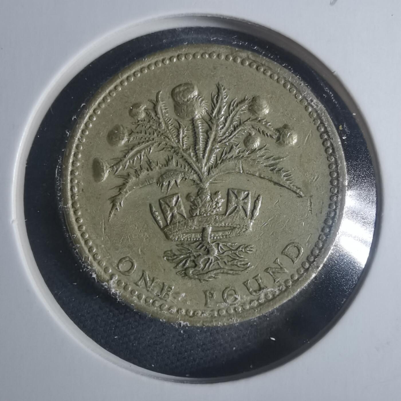 沼泽如烟--第931场 英国1989年一磅