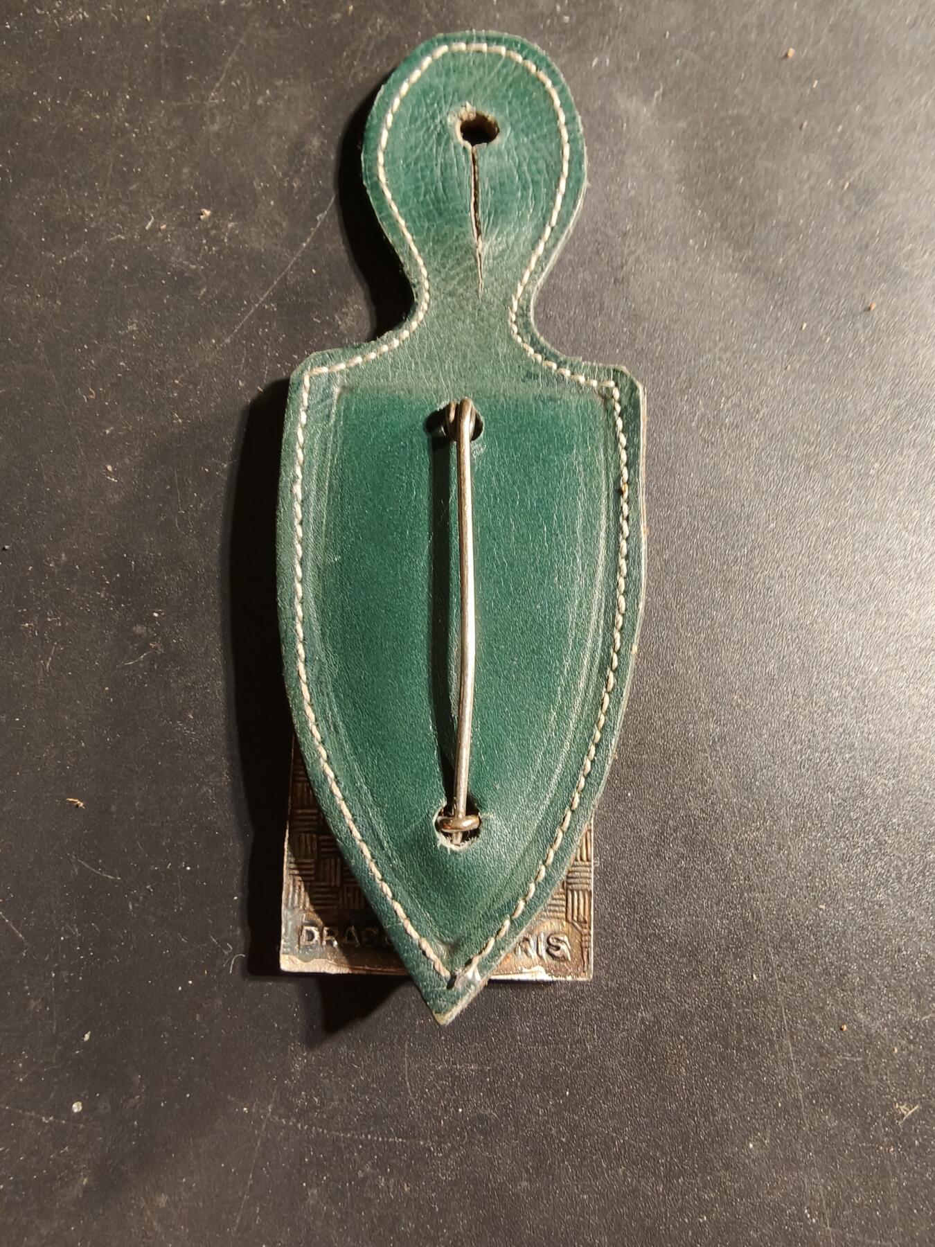 老王徽章第169期 法国第420指挥与支援营证章