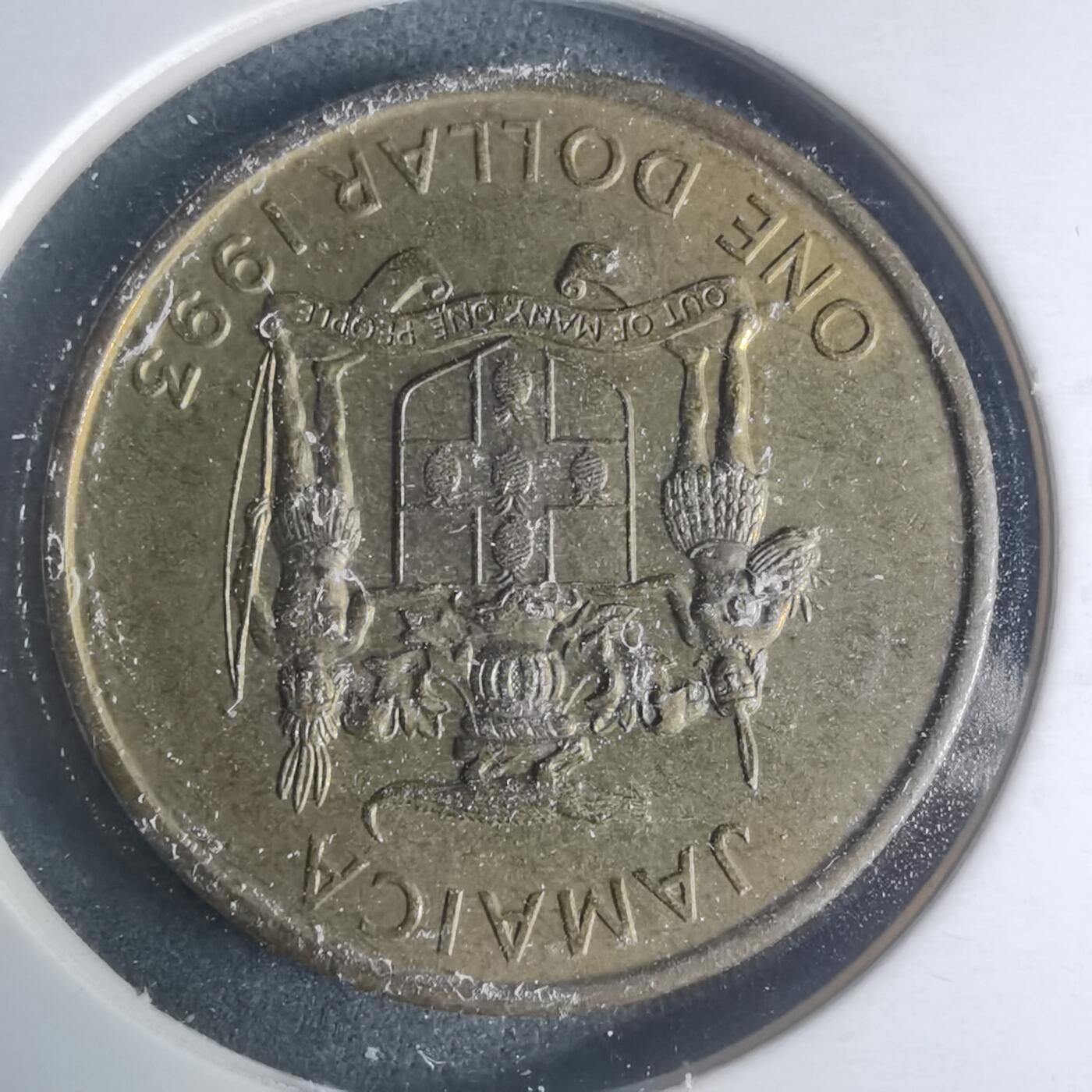 沼泽如烟--第931场