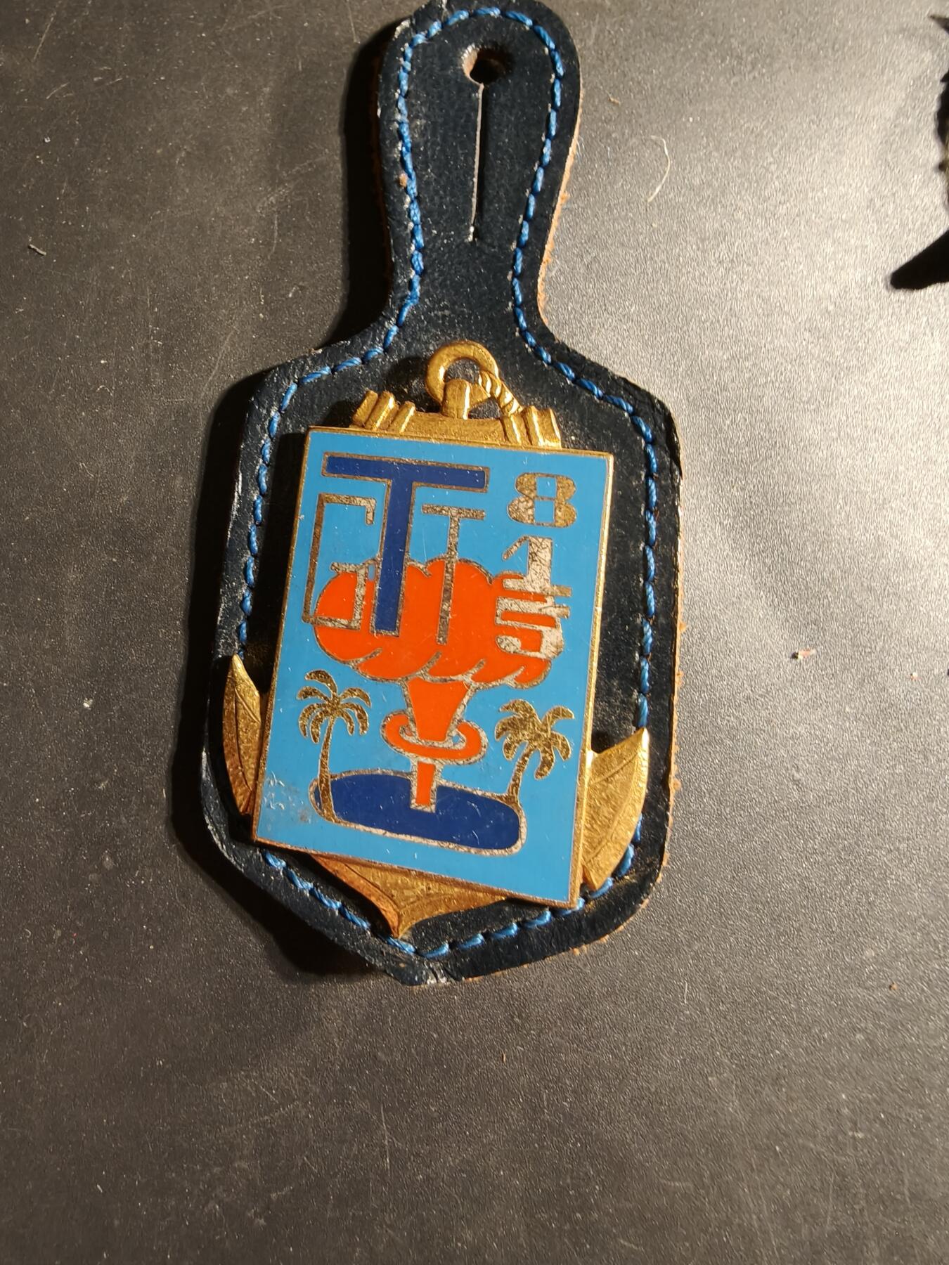 老王徽章第169期 法国陆军第815通信大队证章