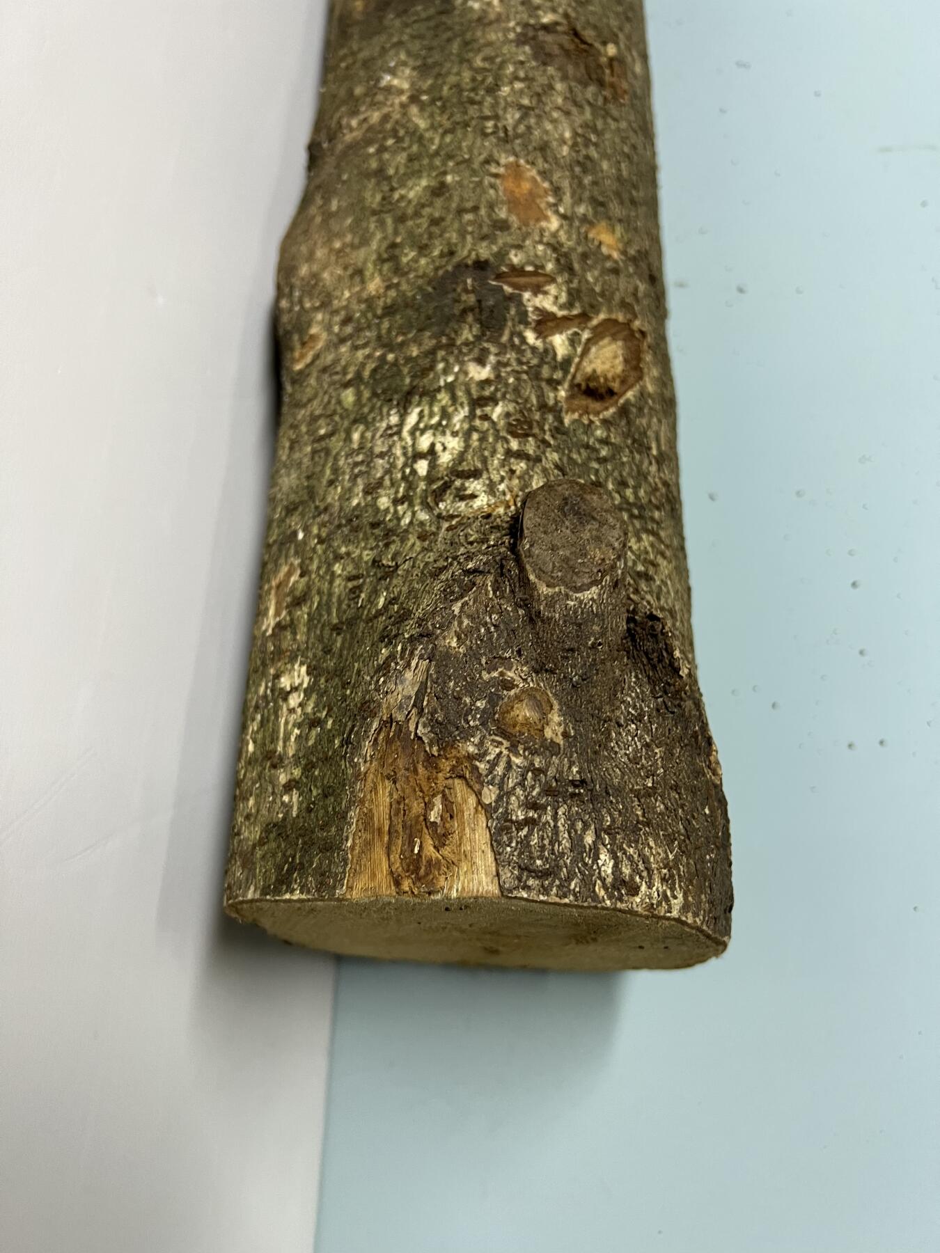 零元拍： D1-2 金丝楠 原木 风水柱 横财（材）带皮， 尺寸：75/11.5/13.5CM。抛光后金灿灿满香。最后一图为成品效果。有一端带点瘤，意味着花纹更漂亮。