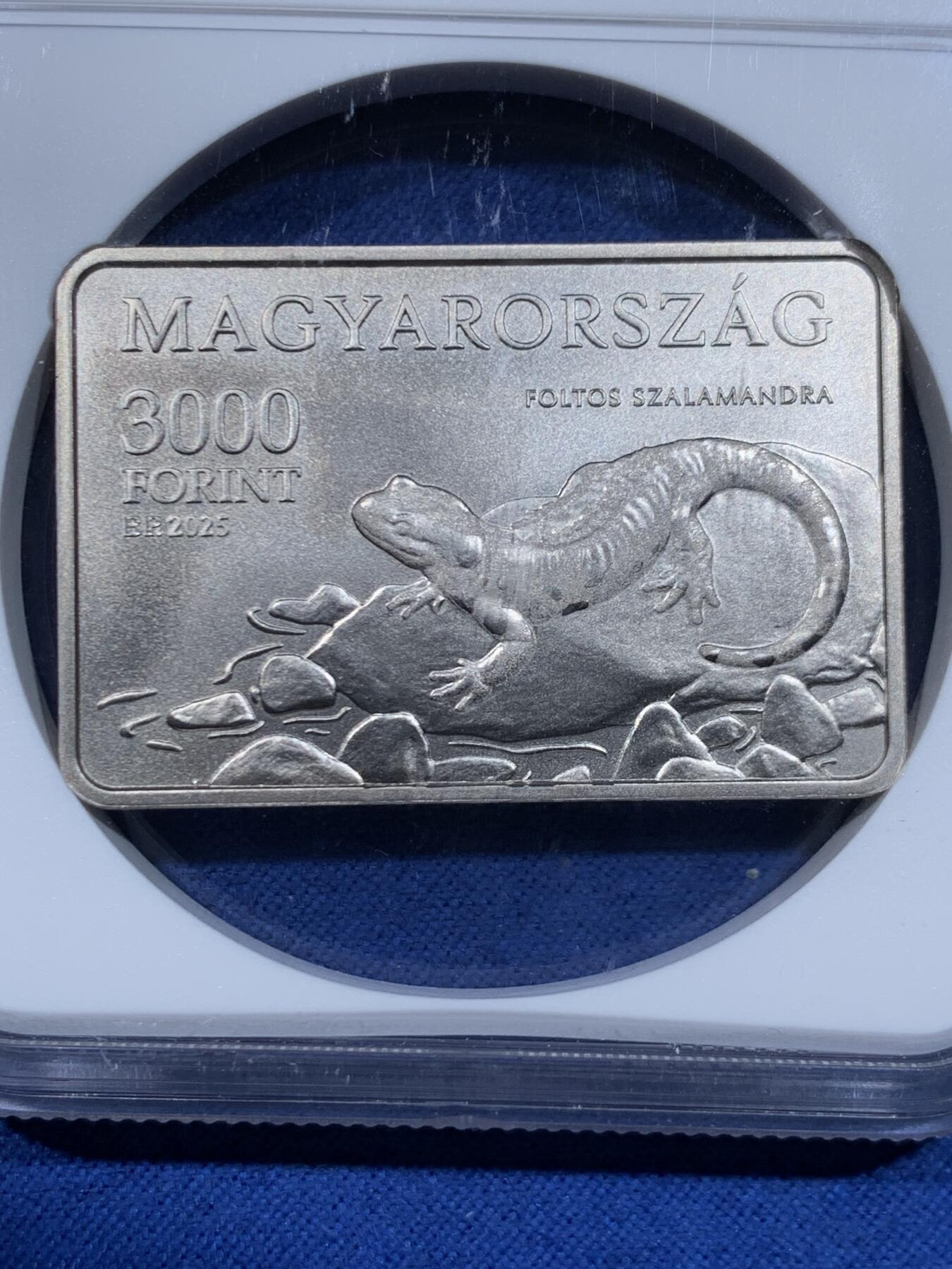 《竞宝斋》第447场 周日，周一，2场连拍 （全场包邮） NGC MS69 匈牙利2025年奥格泰莱克国家公园3000福林纪念币