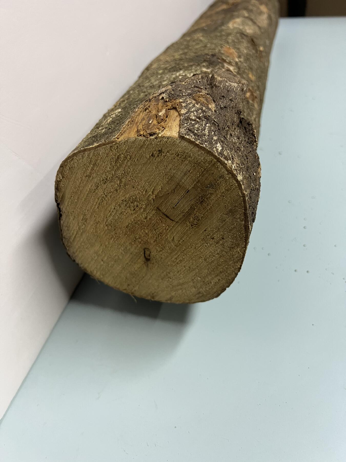 零元拍： D1-2 金丝楠 原木 风水柱 横财（材）带皮， 尺寸：75/11.5/13.5CM。抛光后金灿灿满香。最后一图为成品效果。有一端带点瘤，意味着花纹更漂亮。