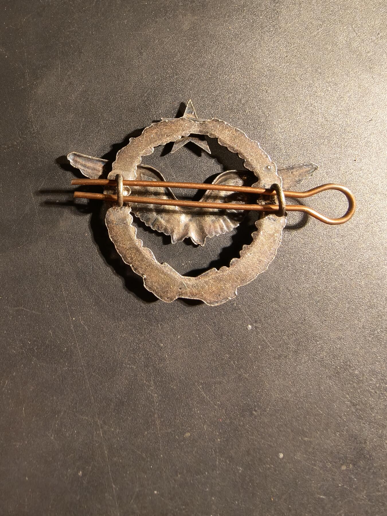 老王徽章第169期 法国空军飞行员证章