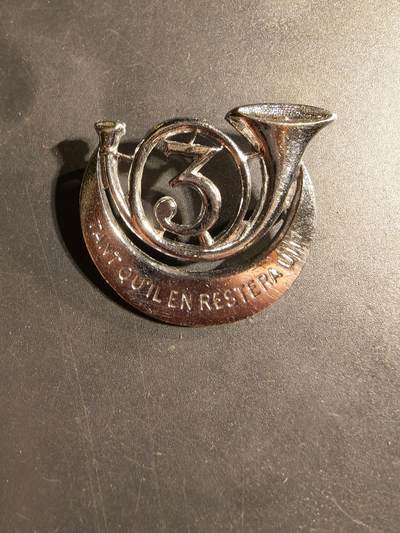 老王徽章第169期 - 法国非洲猎兵第3团证章     该团成立于1833年的阿尔及利亚博讷（Bône），在法国的多次战役（包括两次世界大战和阿尔及利亚战争）中服役。