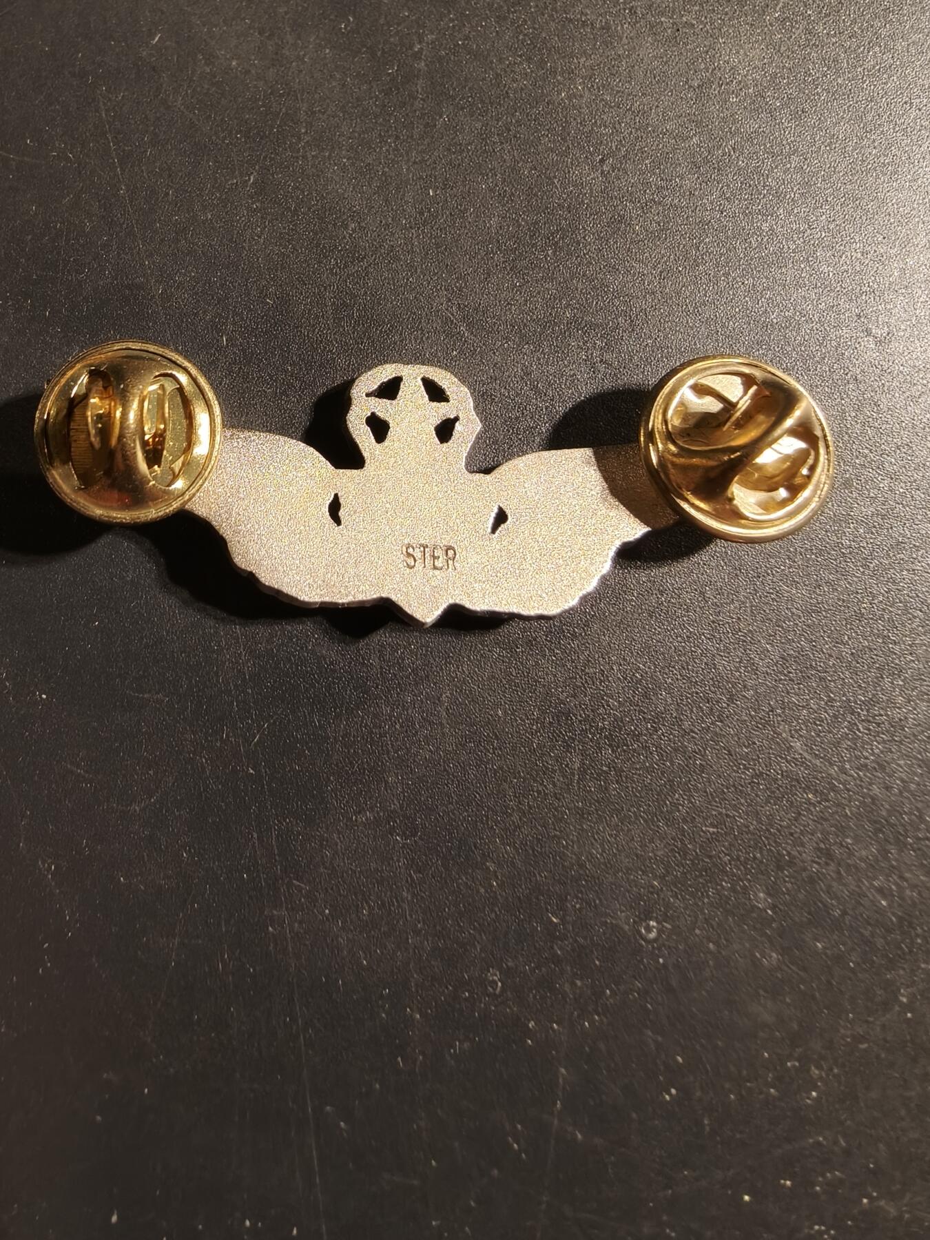 老王徽章第169期 美国空军军医高级技能章    925银    2英寸