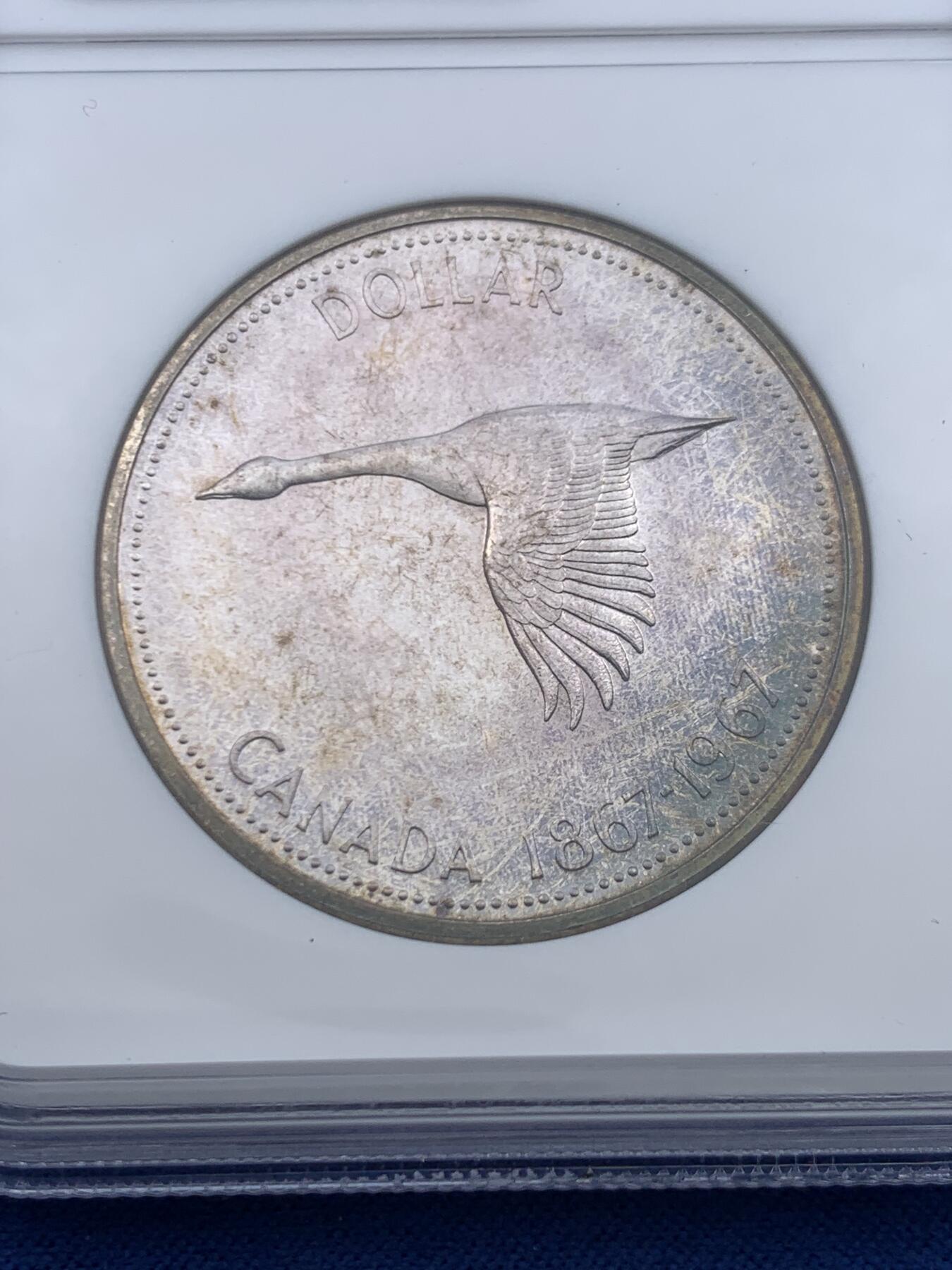 《竞宝斋》第447场 周日，周一，2场连拍 （全场包邮） NGC PF65 加拿大1967年伊丽莎白二世1元大雁银币，正面环彩满天星， NGC老盒子，上手观感更佳