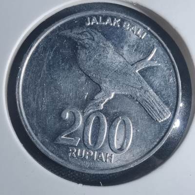 沼泽如烟--第932场 - 印度尼西亚2003年200