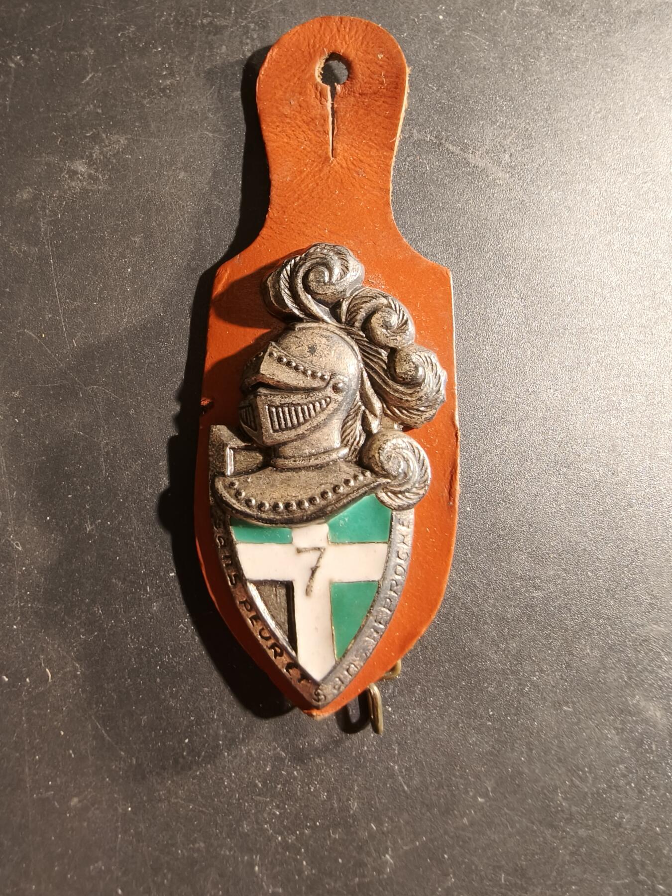 老王徽章第169期 法国第7步兵团证章