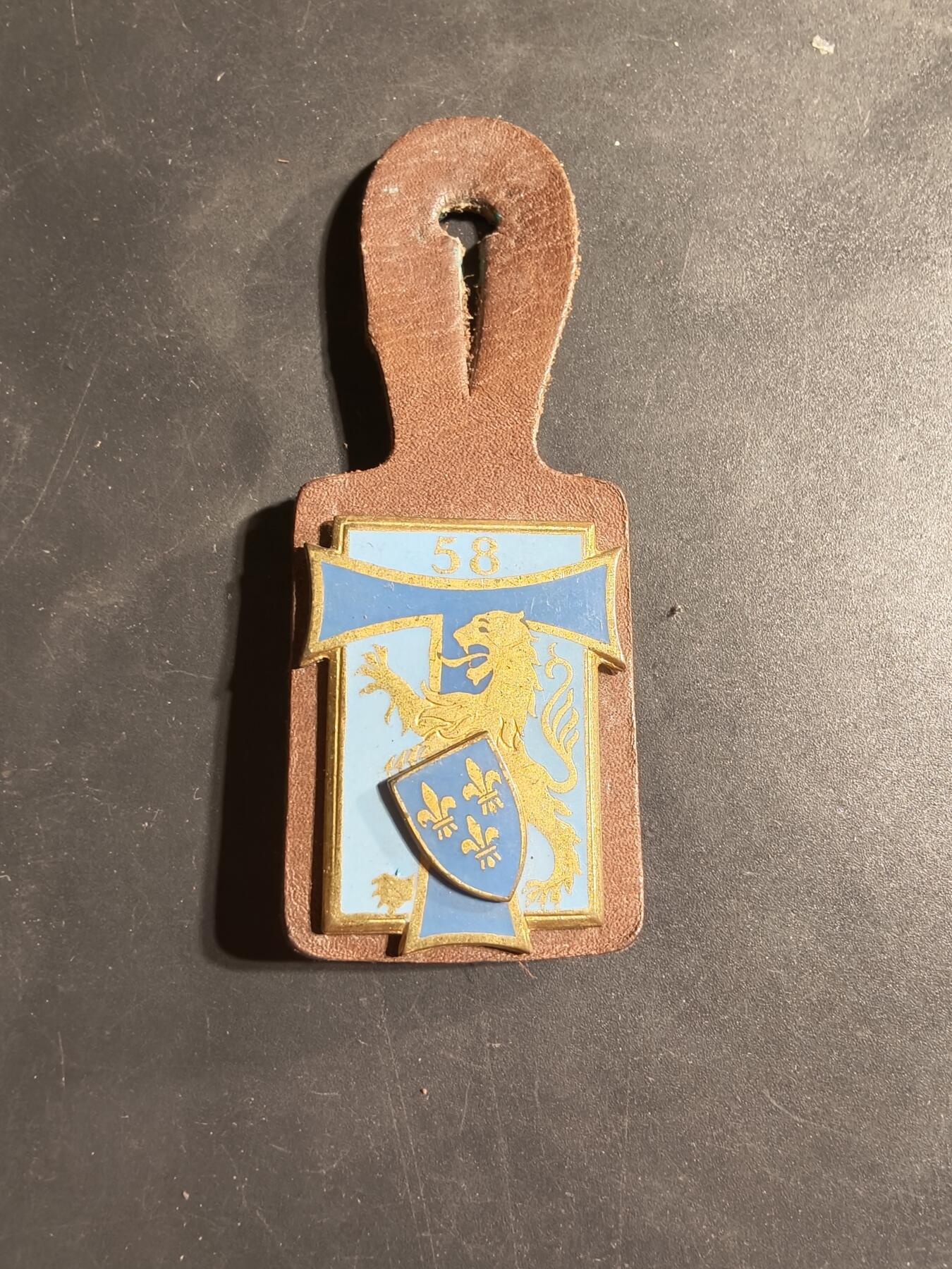 老王徽章第169期 法国第58通信团证章