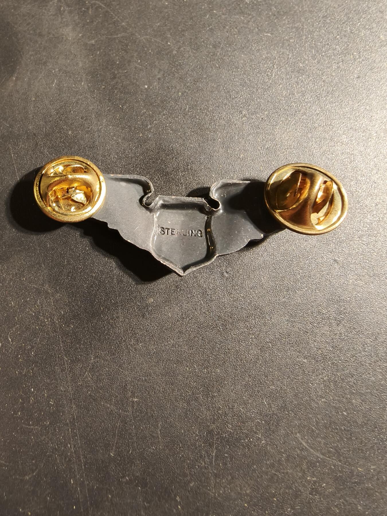 老王徽章第169期 美国空军军医技能章    925银    2英寸