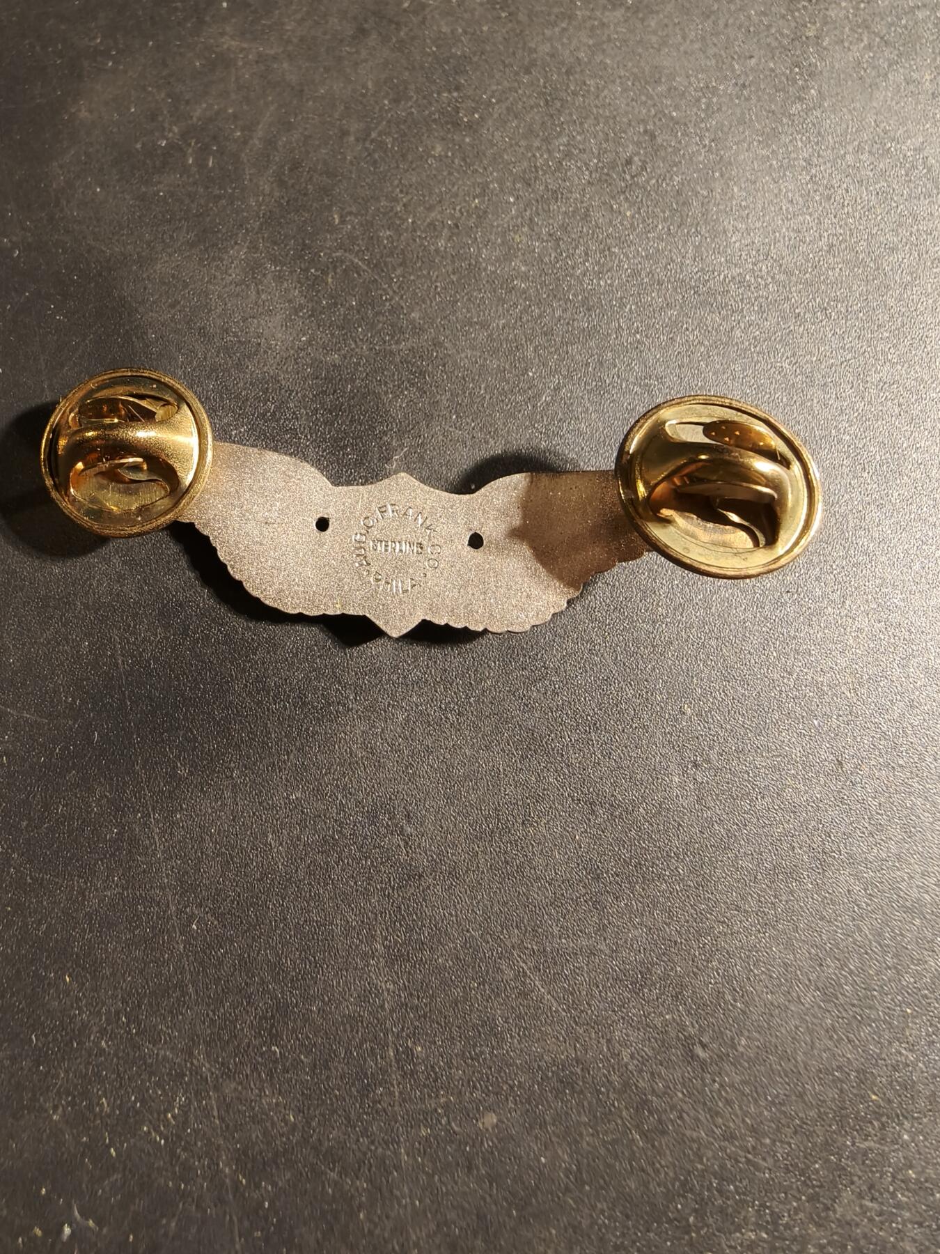 老王徽章第169期 美国空军军医技能章    925银     费城造    2英寸