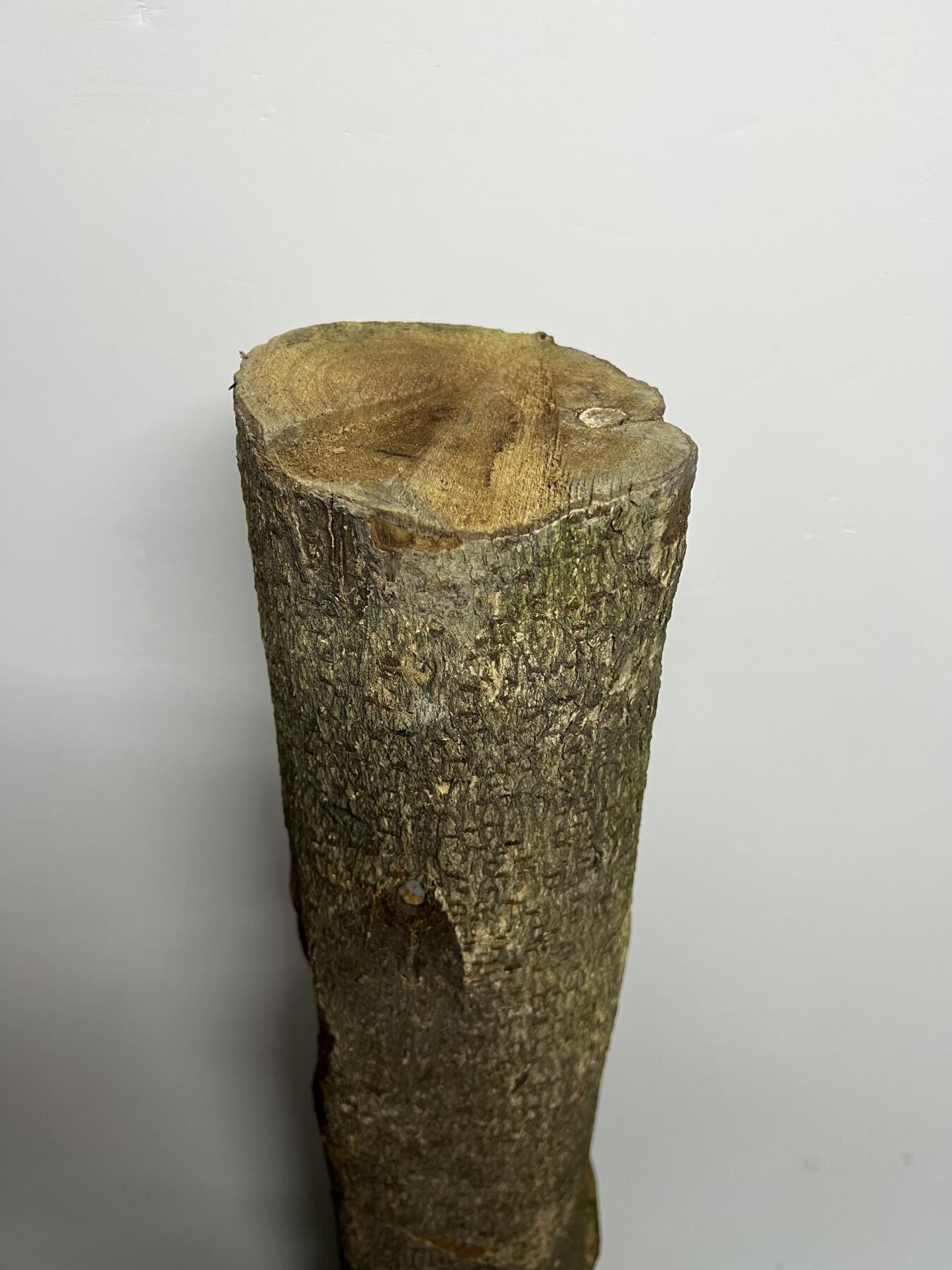 零元拍： D1-2 金丝楠 原木 风水柱 横财（材）带皮， 尺寸：75/11.5/13.5CM。抛光后金灿灿满香。最后一图为成品效果。有一端带点瘤，意味着花纹更漂亮。