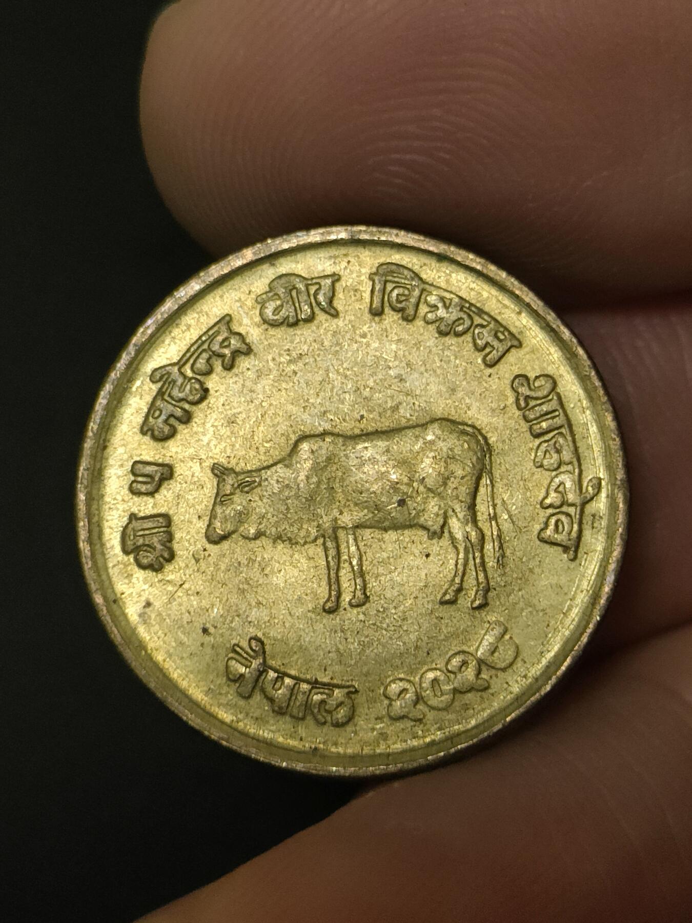 猩哥外币小铺➨【第208场】 牛