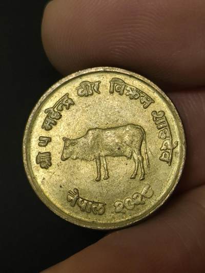 猩哥外币小铺➨【第208场】 - 牛