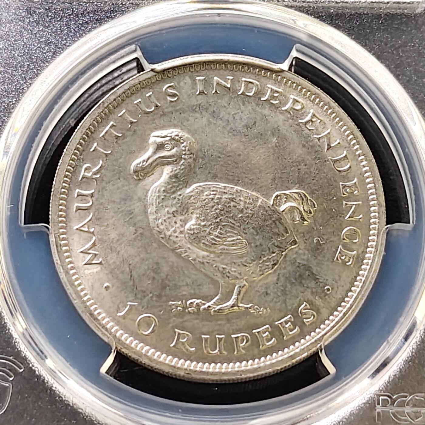 【全场包邮】纯粹捡漏拍487场（免费代拍第24场）