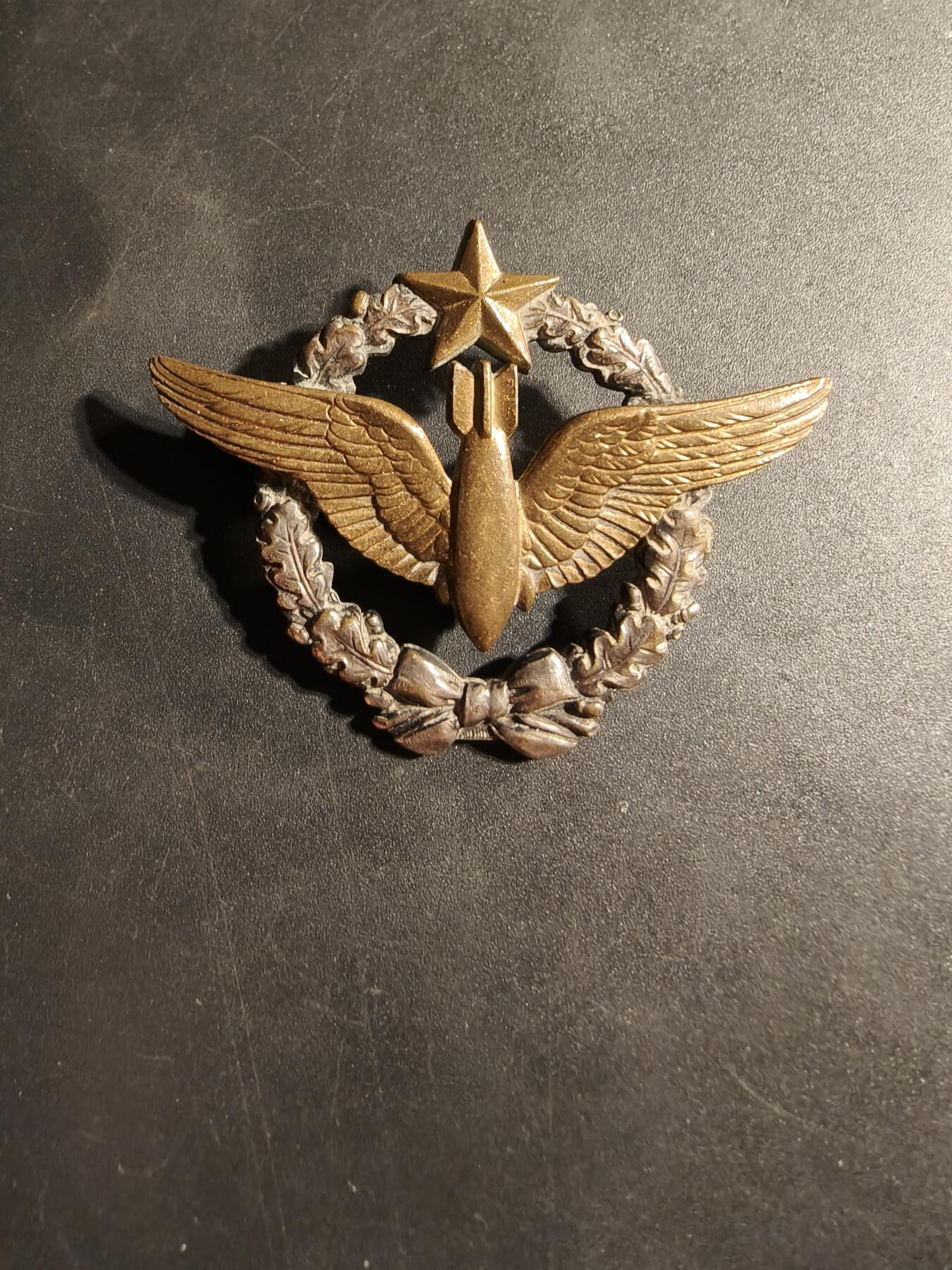 老王徽章第169期 法国空军轰炸机投弹手证章