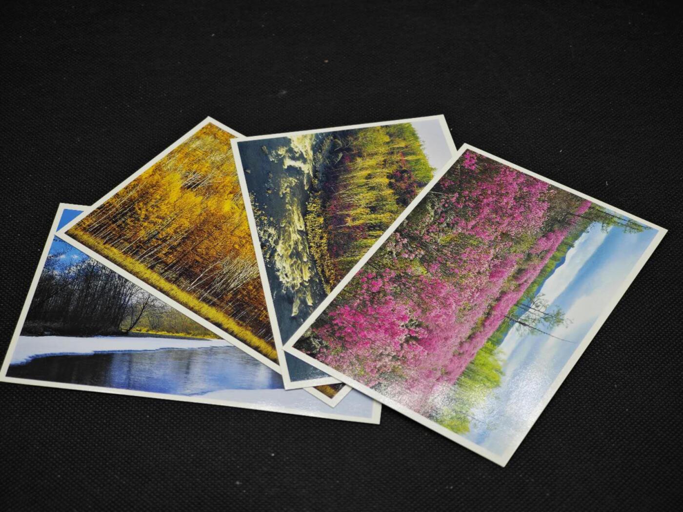 【淘币小摊】限时拍第八百三十拍  散币纸币邮票场  满百包邮可预留两周  周一统一发货     鄂伦春风光邮资明信片10张