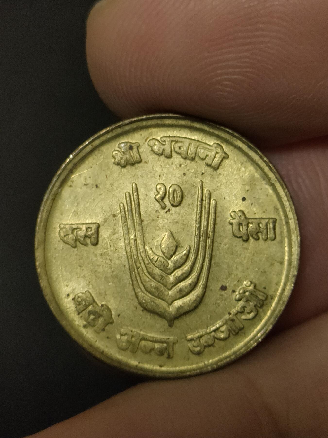 猩哥外币小铺➨【第208场】 牛