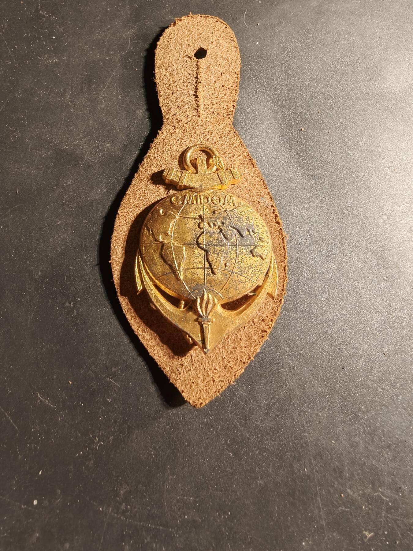 老王徽章第169期 法国海外军事信息与文献中心证章      该中心负责为即将前往海外或在外国驻扎的法国军事人员及其家属提供培训和信息，该中心曾设在凡尔赛的阿尔图瓦军营 (Caserne d'Artois)，后被 2003 年成立的海外与外国专业军事学校 (EMSOME) 取代。