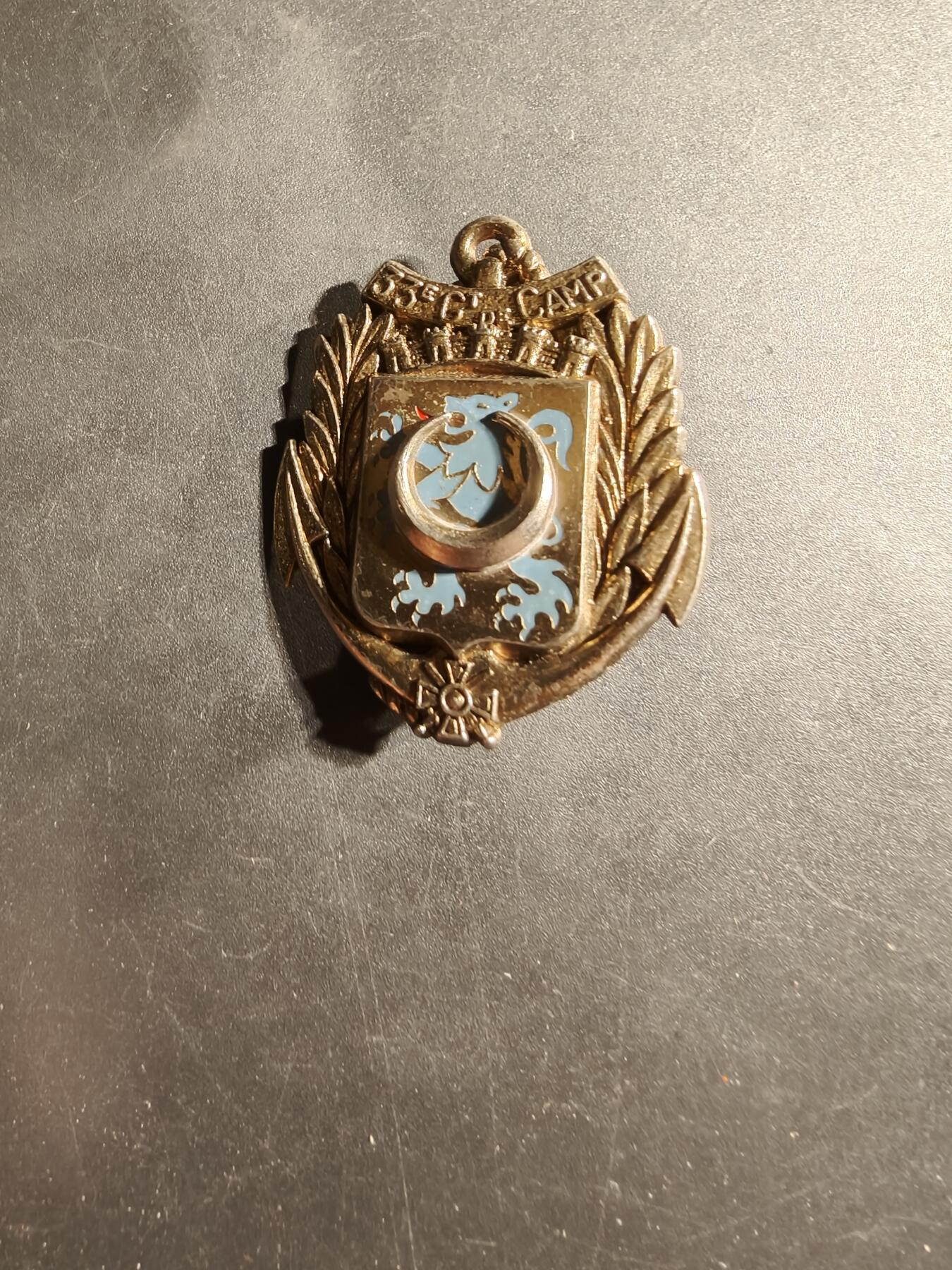 老王徽章第169期 法国锡索讷（Sissonne）军营第33营地集群证章     该部队成立于1984年7月1日，隶属于第22海军陆战队步兵团（22e RIMa）。在此之前，从1965年到1979年，该单位是第33连营（33e Compagnie de Camp），隶属于第21海军陆战队步兵团。