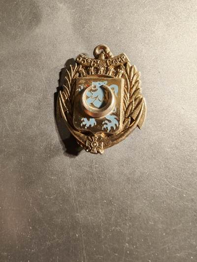 老王徽章第169期 - 法国锡索讷（Sissonne）军营第33营地集群证章     该部队成立于1984年7月1日，隶属于第22海军陆战队步兵团（22e RIMa）。在此之前，从1965年到1979年，该单位是第33连营（33e Compagnie de Camp），隶属于第21海军陆战队步兵团。