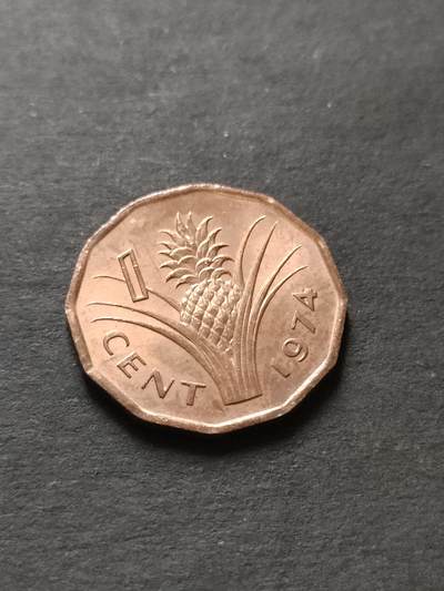 猩哥外币小铺➨【第208场】 - 非洲