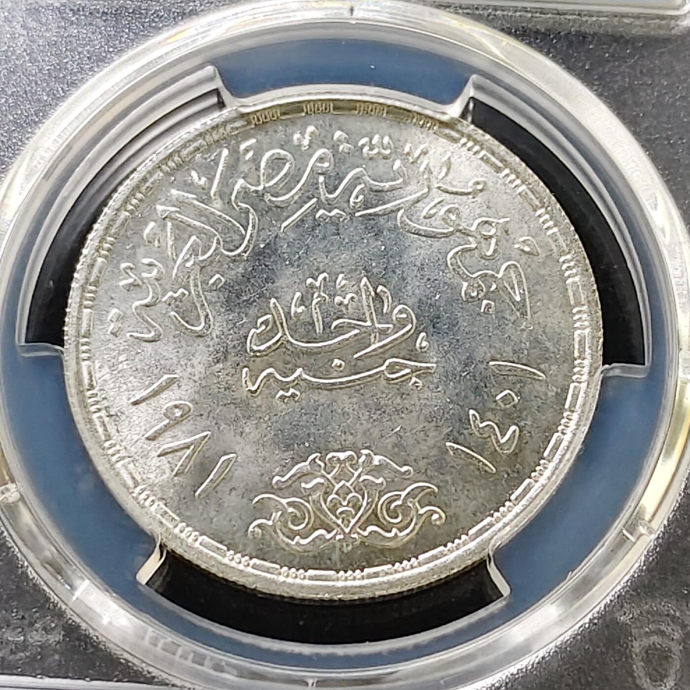 【全场包邮】纯粹捡漏拍487场（免费代拍第24场）