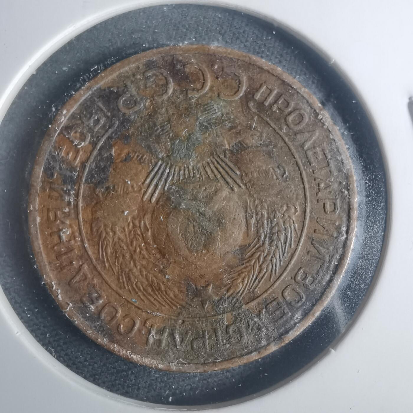 沼泽如烟--第931场