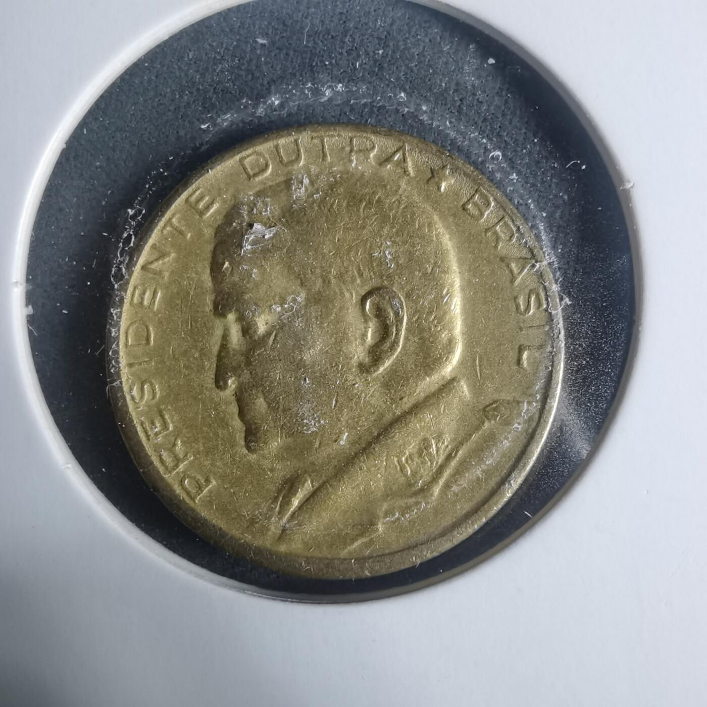 沼泽如烟--第931场