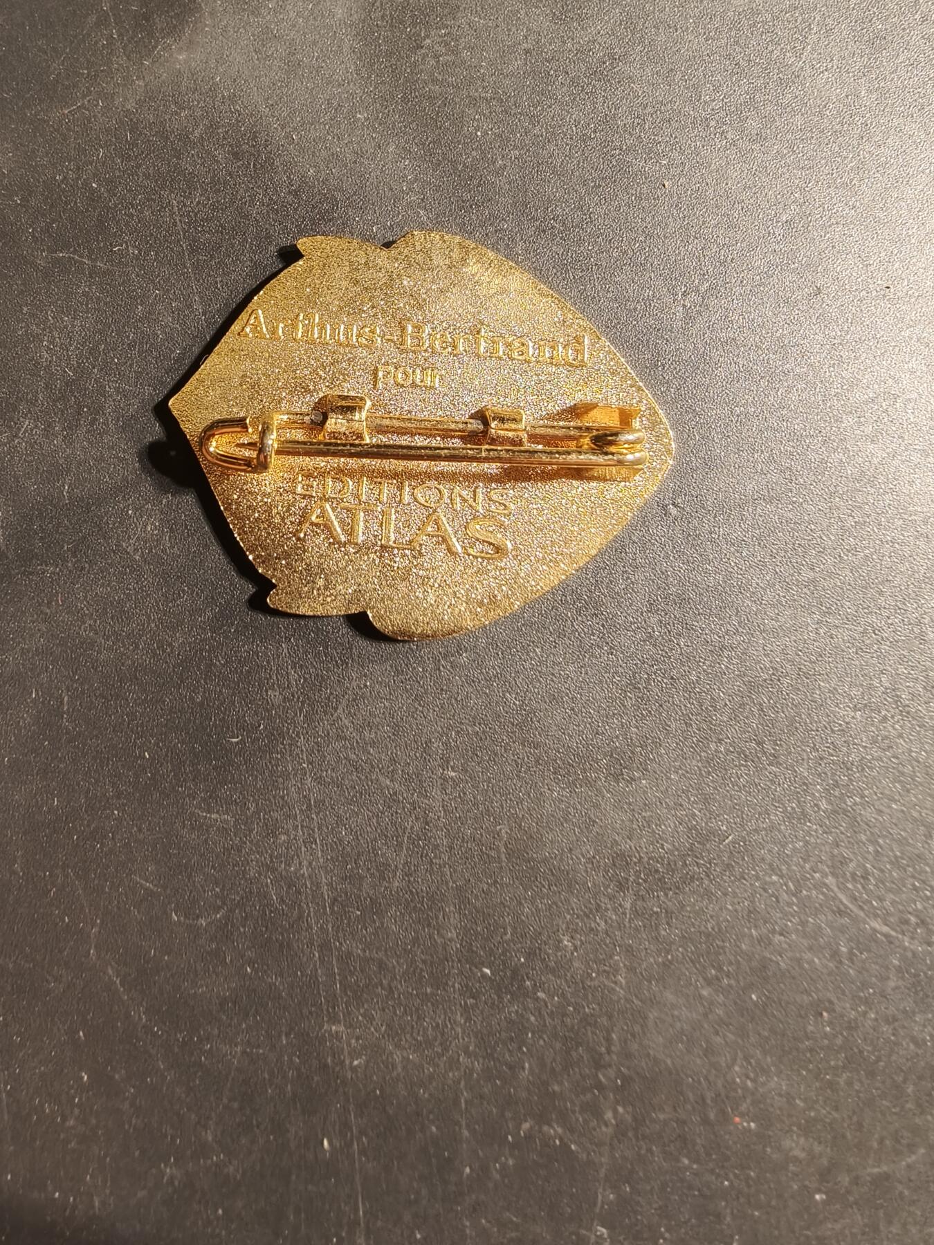 老王徽章第169期 法国第2装甲旅乍得行进团证章