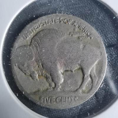 沼泽如烟--第931场 - 美国野牛五分