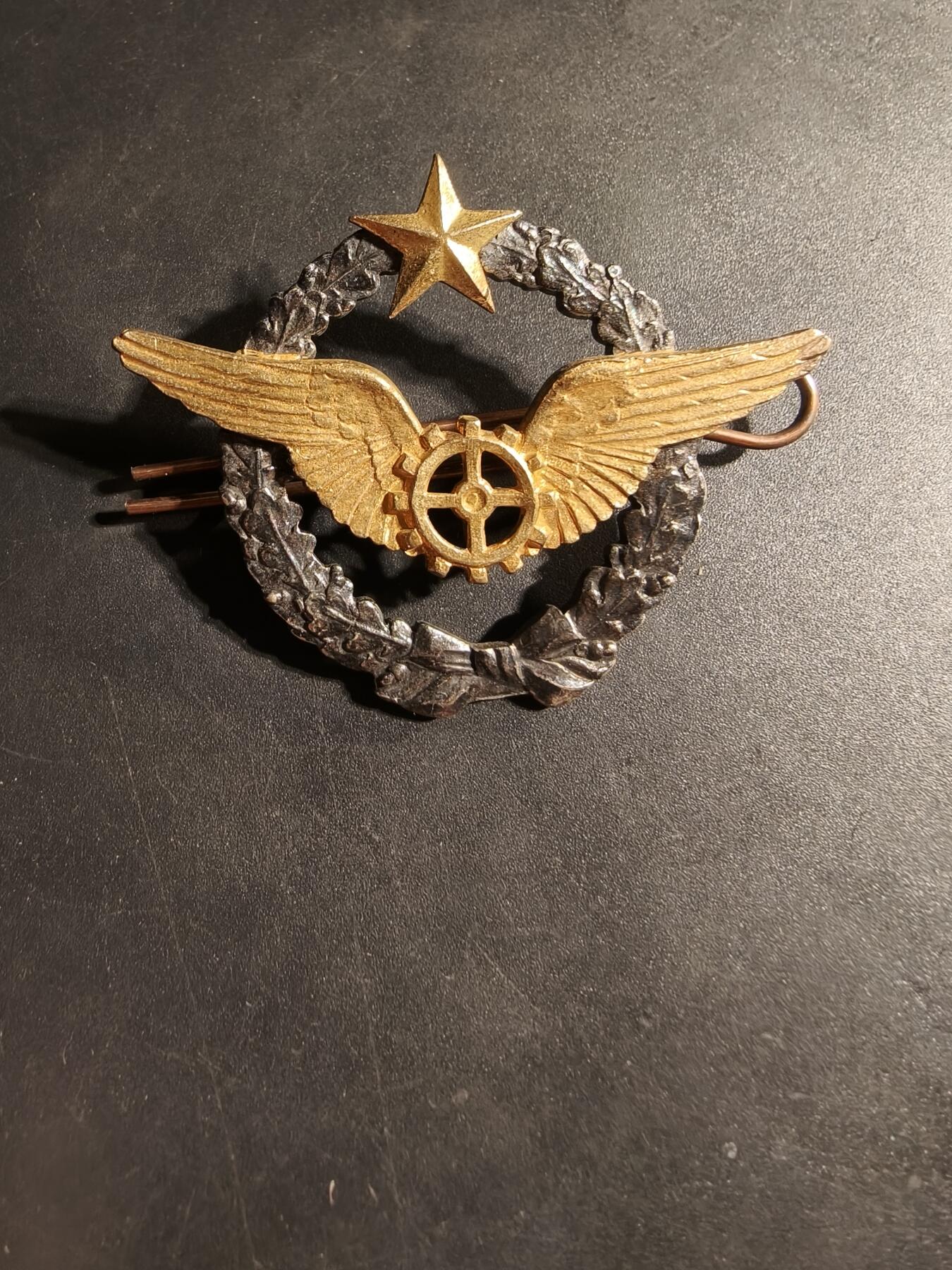 老王徽章第169期 法国空军机械师证章