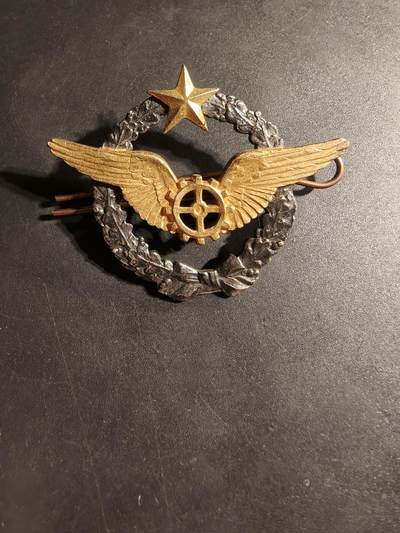 老王徽章第169期 - 法国空军机械师证章