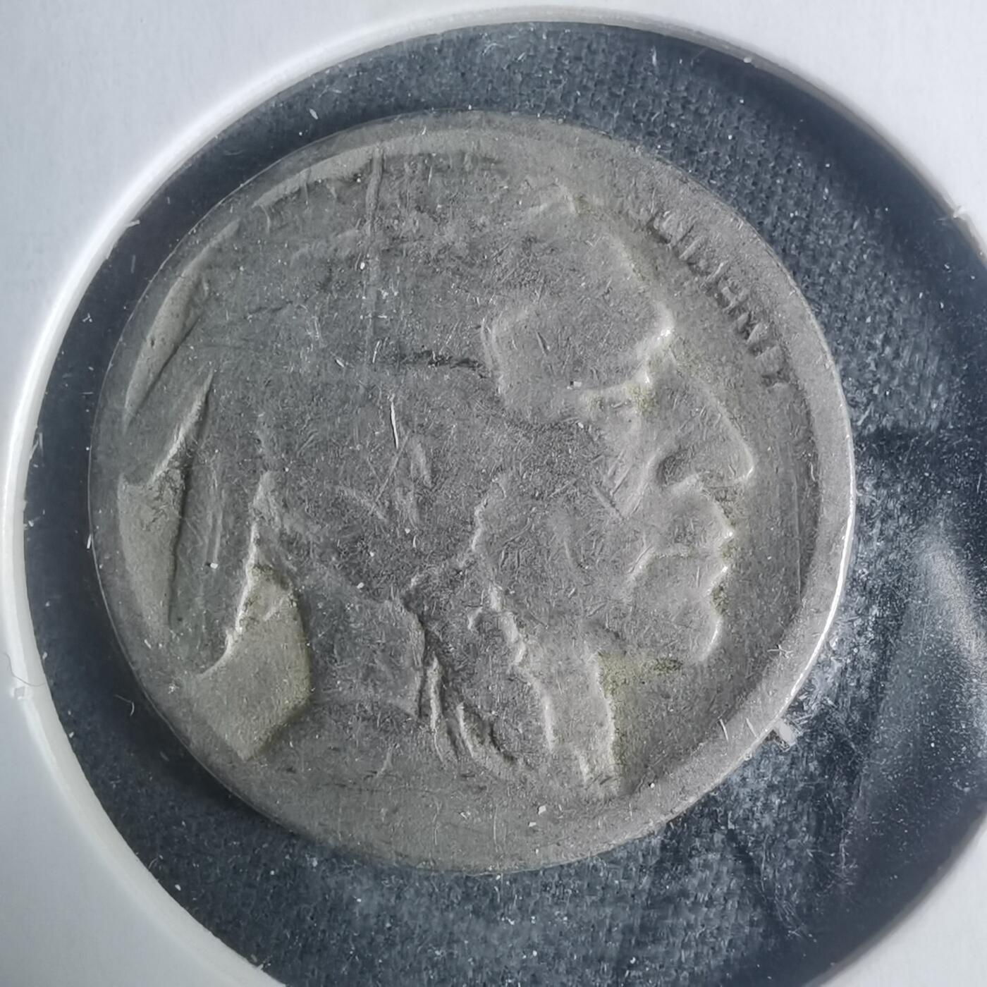 沼泽如烟--第931场 美国野牛五分