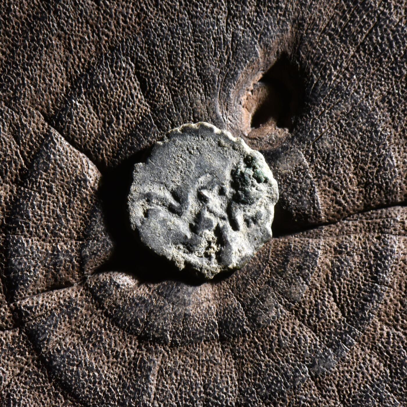 【良泉】【元旦直播场】1月1日晚19.30点开拍！208组西方古代钱币、日本朝鲜花钱 约850-1000年【沙希王朝】喀布尔地区打制“狮子/大象”吉塔尔，0.66克