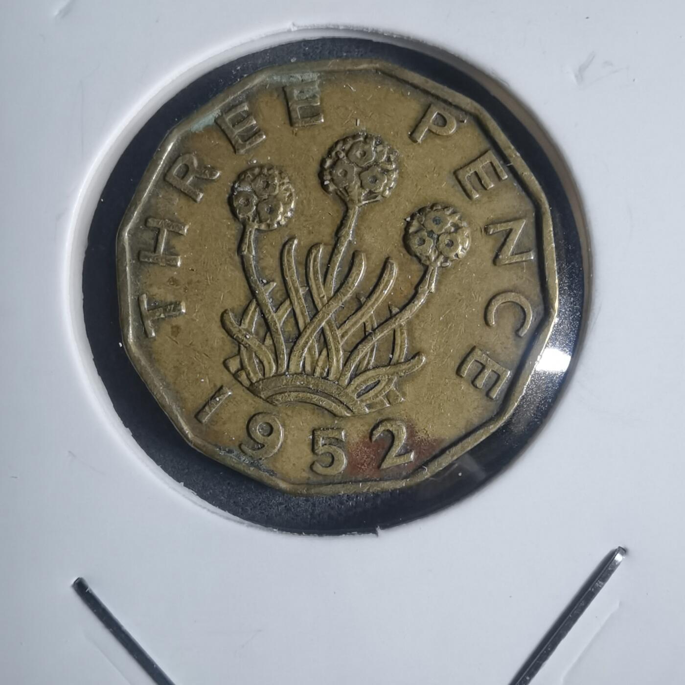 沼泽如烟--第932场