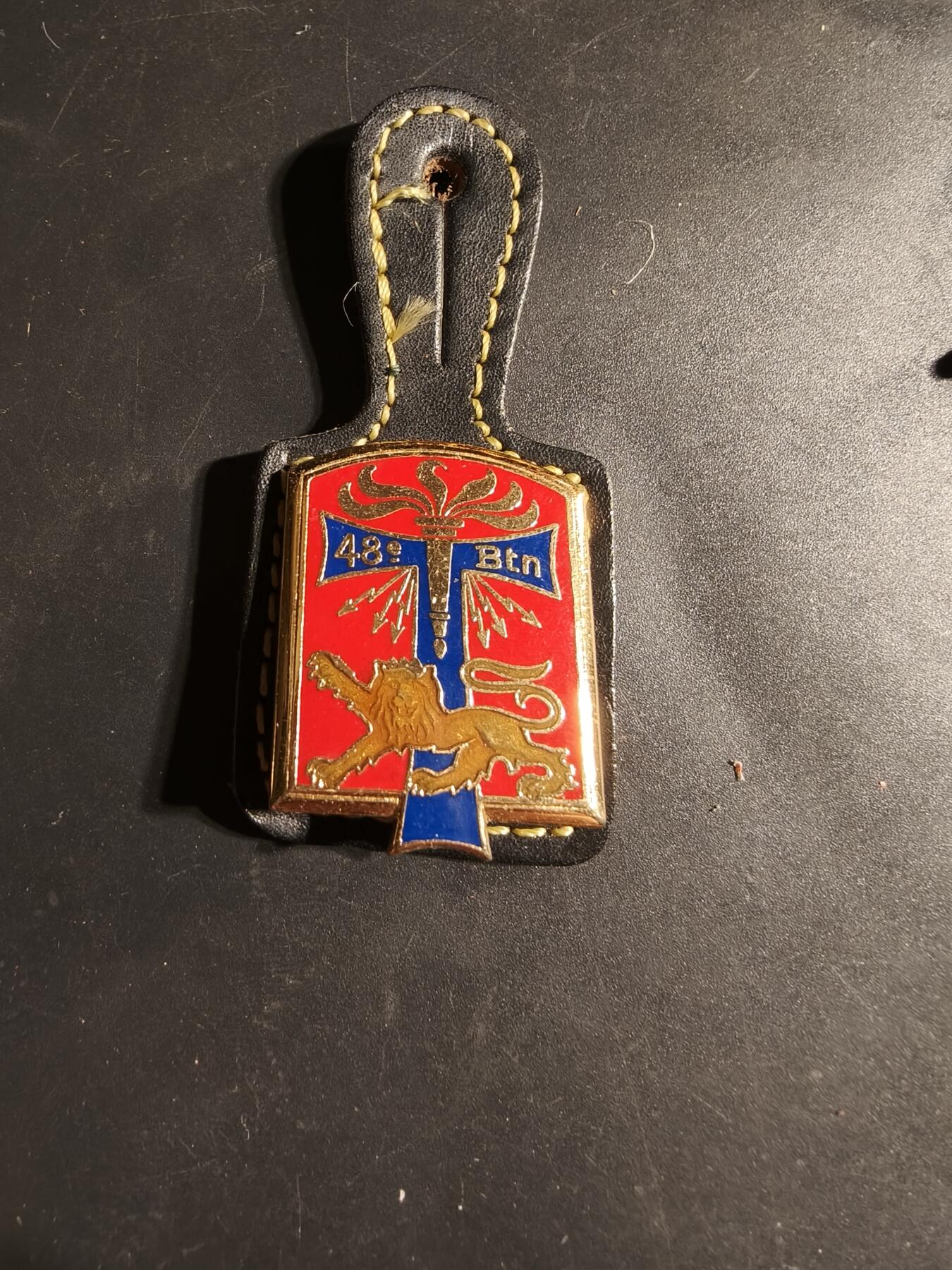 老王徽章第169期 法国第48通信营证章