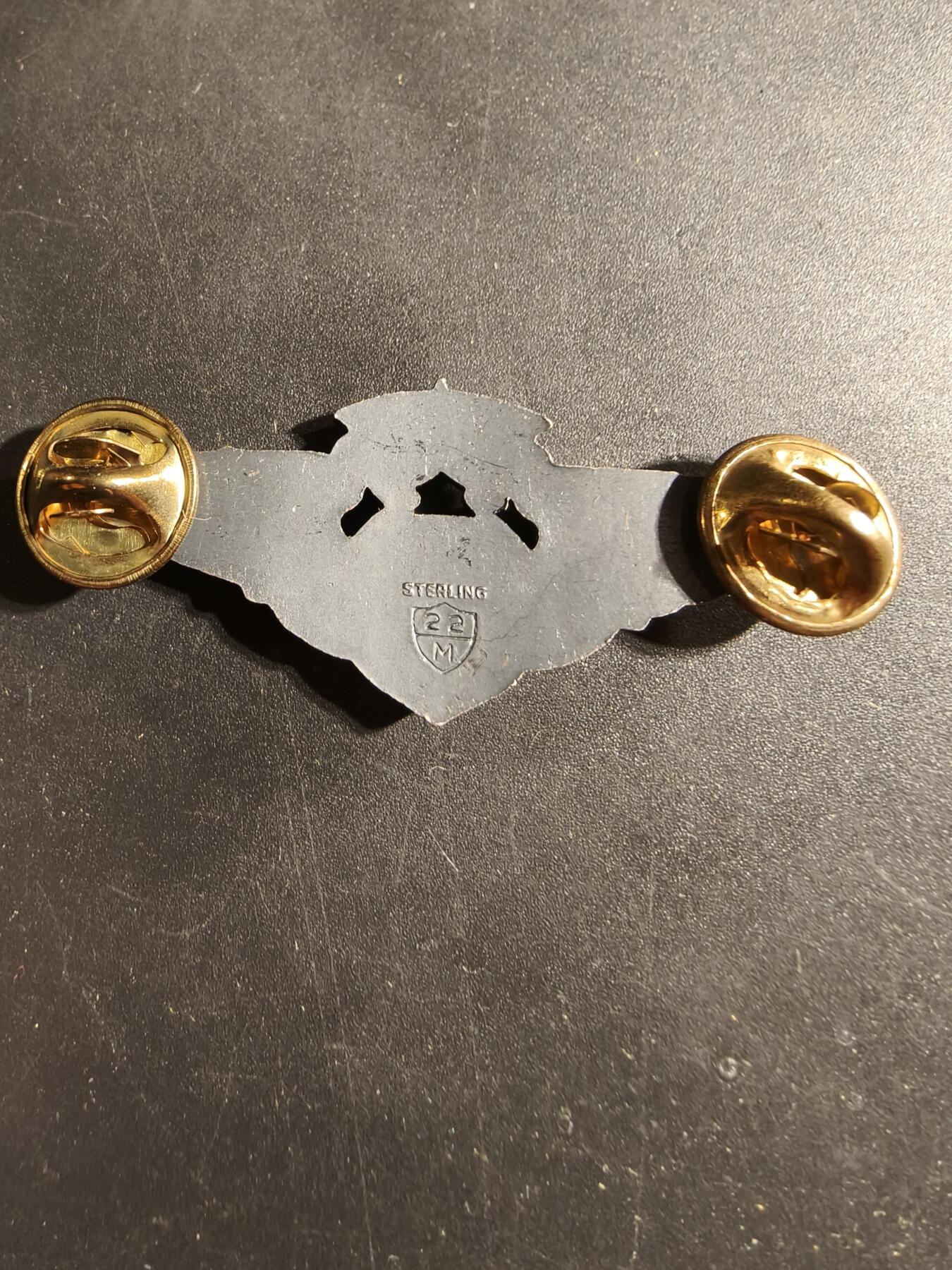 老王徽章第169期 美国空军军医高级技能章    925银    2英寸