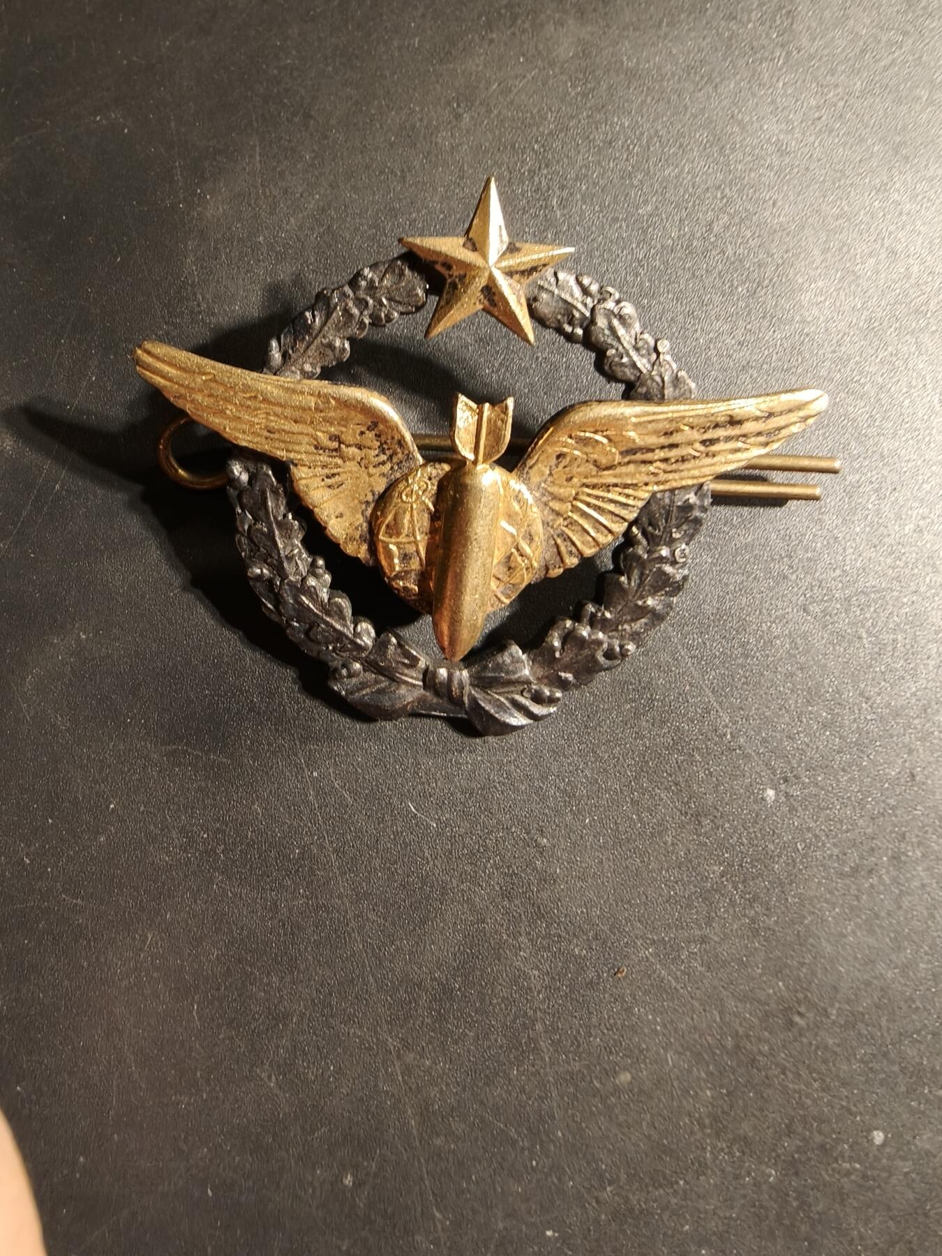 老王徽章第169期 法国空军轰炸机投弹手证章