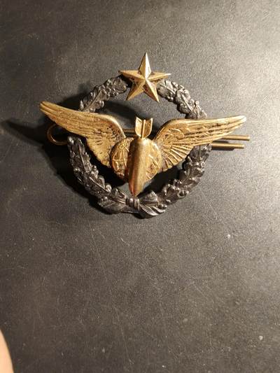 老王徽章第169期 - 法国空军轰炸机投弹手证章
