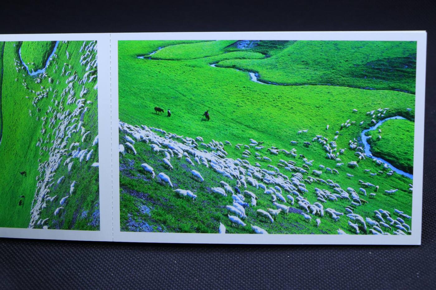 【淘币小摊】限时拍第八百三十拍  散币纸币邮票场  满百包邮可预留两周  周一统一发货     内蒙古风情特种册邮资明信片10张