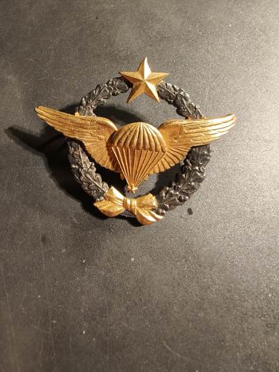 老王徽章第169期 - 法国空军试飞跳伞员证章