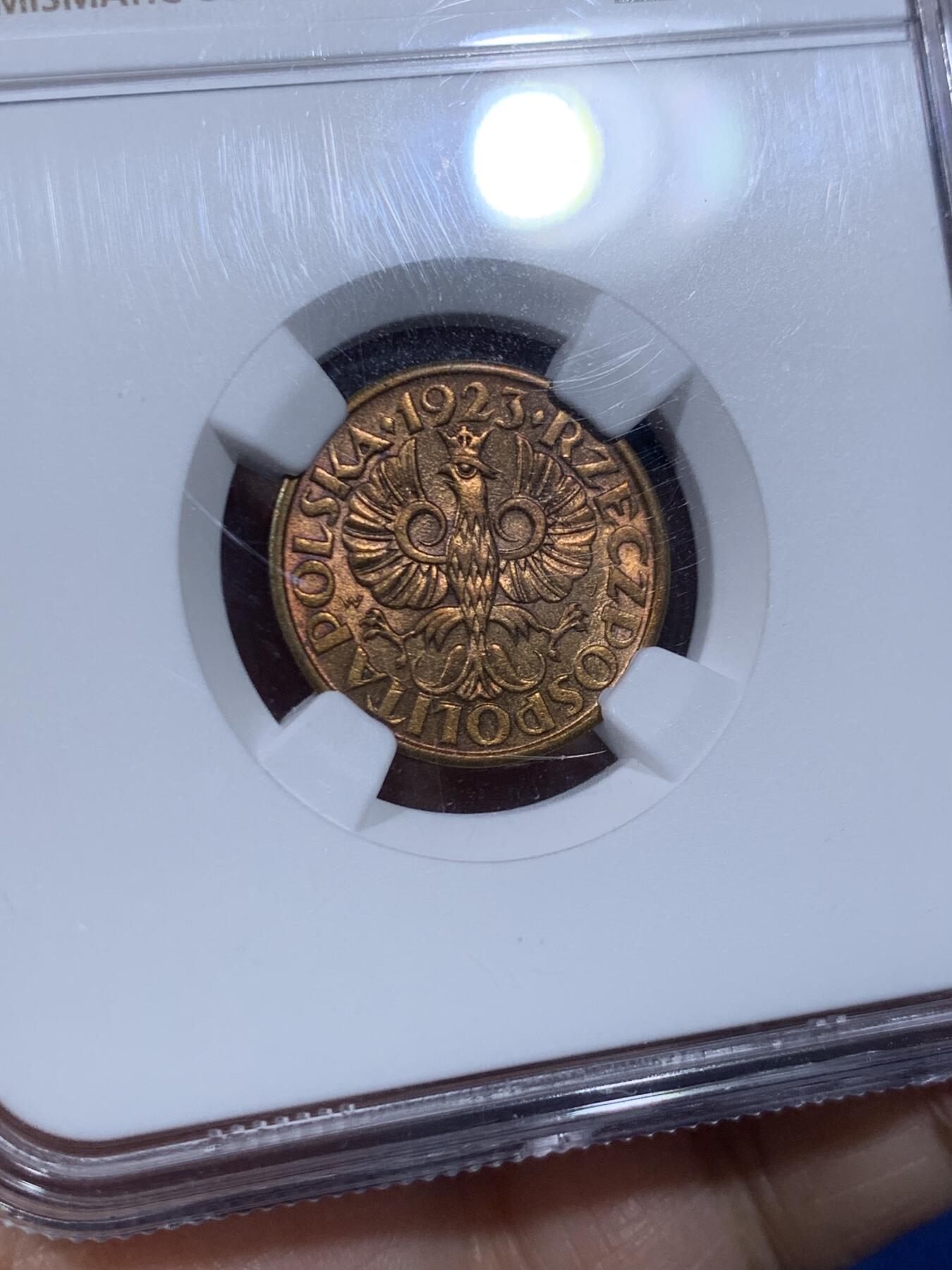 《竞宝斋》第447场 周日，周一，2场连拍 （全场包邮） NGC MS64 波兰1923年5格罗申黄铜币 高分铜光充沛