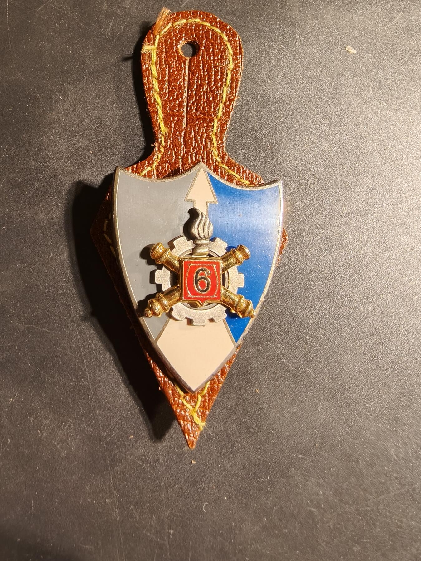 老王徽章第169期 法国陆军第 6 物资团证章