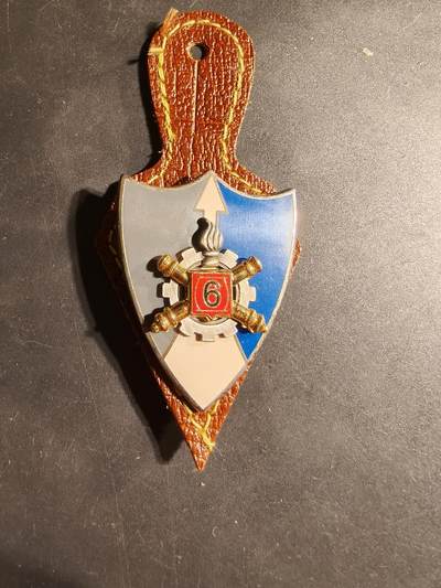 老王徽章第169期 - 法国陆军第 6 物资团证章