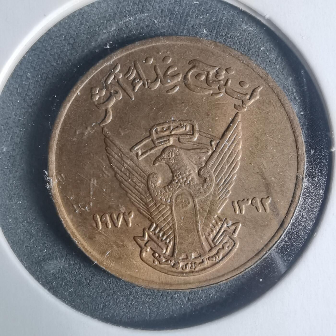 沼泽如烟--第931场